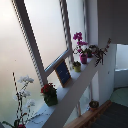 Casa Judith Homestay Turda